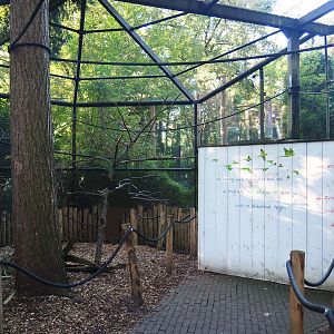 Parakeet aviary, with educational mural, 2023-09-24