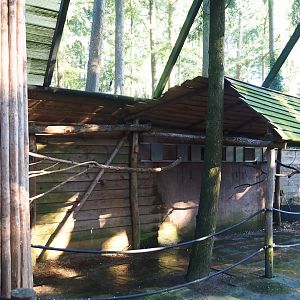 Parakeet aviary, 2023-09-24