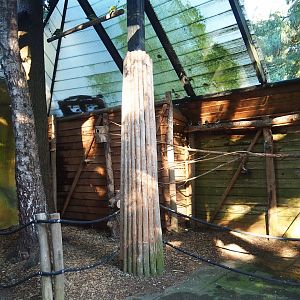 Parakeet aviary, 2023-09-24