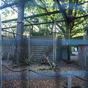 Parakeet aviary, 2023-09-24