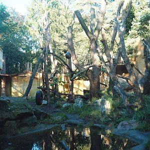 Spectacled bear exhibit, 2023-09-24
