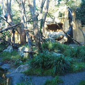 Spectacled bear exhibit, 2023-09-24
