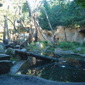 Spectacled bear exhibit, 2023-09-24