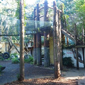 Spectacled bear viewing areas, 2023-09-24