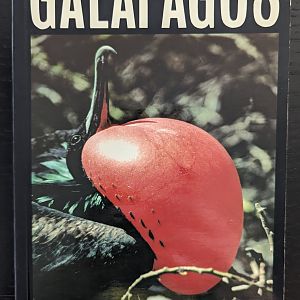 Galapagos: A Natural History Guide