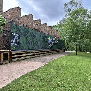Komodo Dragon Future Exhibit
