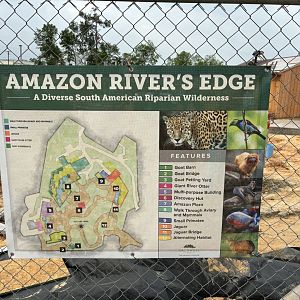 Amazon River’s Edge