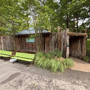 Pygmy Slow Loris Hut