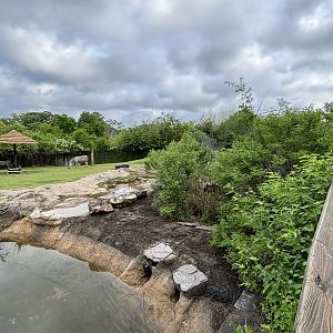African Savanna Exhibit Left Side