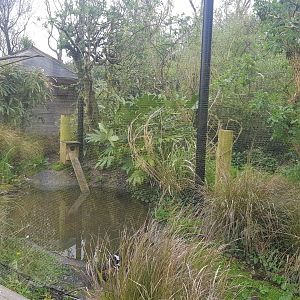 'African' Wetlands Aviary