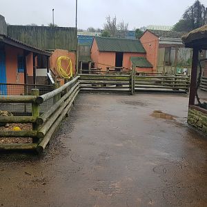 Farmyard General View