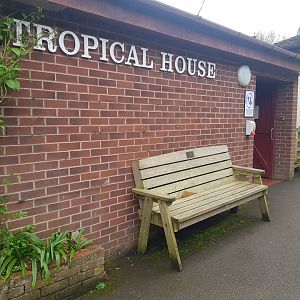 Tropical House Entrance