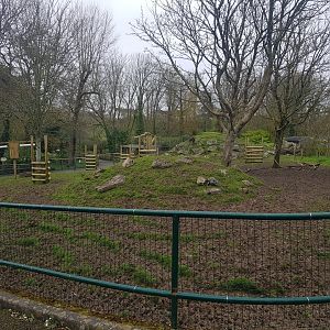 Prince Alfred's Deer Enclosure