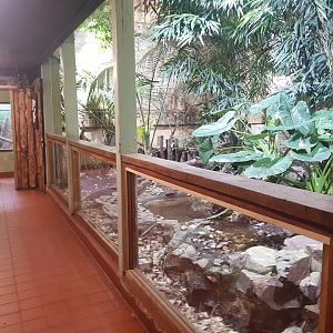 Tropical House Downstairs Interior