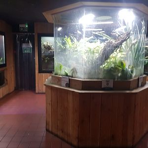 Tropical House Vivariums