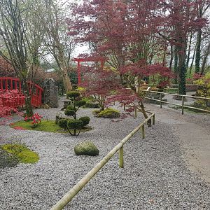 Asian Garden