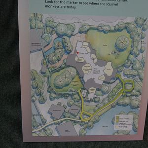 PECO Primate Reserve - Layout