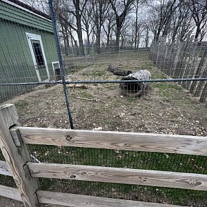 Cape Porcupine Exhibit