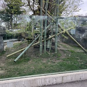Red Panda/Reeve’s Muntjac Exhibit