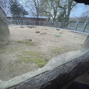 Prairie Dog Exhibit