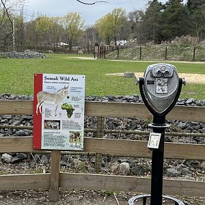 Giraffe Savanna (with Somali Wild Ass signage)