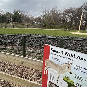 Giraffe Savanna (with Somali Wild Ass signage)