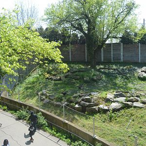 South End Exhibits - Exhibits for Southern Ground-Hornbill (Bucorvus leadbeateri) and Southern and Eastern African Cheetah (Acinonyx jubatus jubatus)