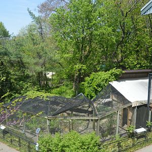 South End Exhibits - Scenery from Elevated Pathway