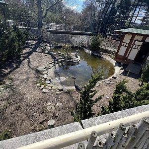 White-Naped Crane Exhibit