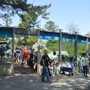 Penguin Point - Entrance
