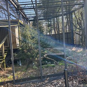 Steller’s Sea Eagle Exhibit