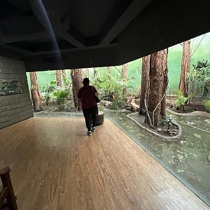 Bird’s World Swamp area