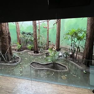 Bird’s World Swamp area