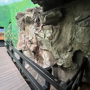 Bird’s World Rainforest area