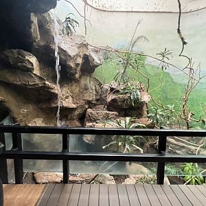 Bird’s World Rainforest area