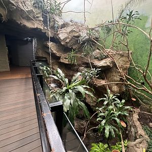 Bird’s World Rainforest area