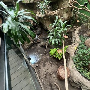 Bird’s World Rainforest area