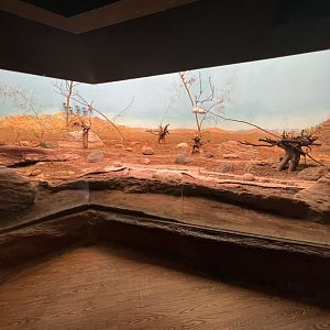 Bird’s World Desert area