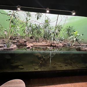 Bird’s World Riverside area