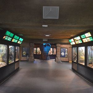 Reptile and Amphibian House - Overview of the First Wing