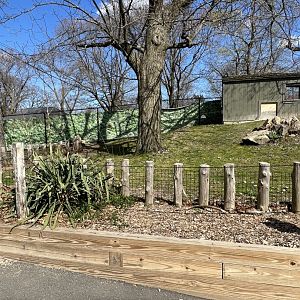 African Spurred Tortoise Exhibit