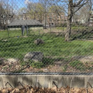 Kori Bustard Exhibit