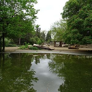 African savannah paddock (blesbok, zebra & guineafowl)