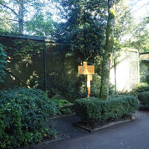 Golden pheasant aviary, 2023-09-24
