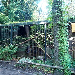Black-crowned night heron aviary, 2023-09-24