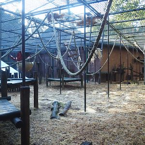Chimpanzee exhibit, 2023-09-24