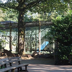 Chimpanzee exhibit, 2023-09-24