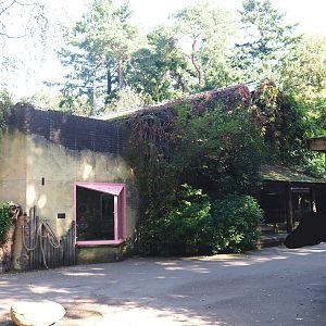 Chimpanzee building, 2023-09-24
