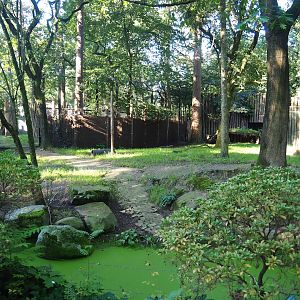 Spotted hyena exhibit, 2023-09-24