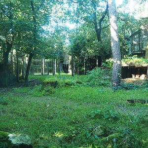 Spotted hyena exhibit, 2023-09-24